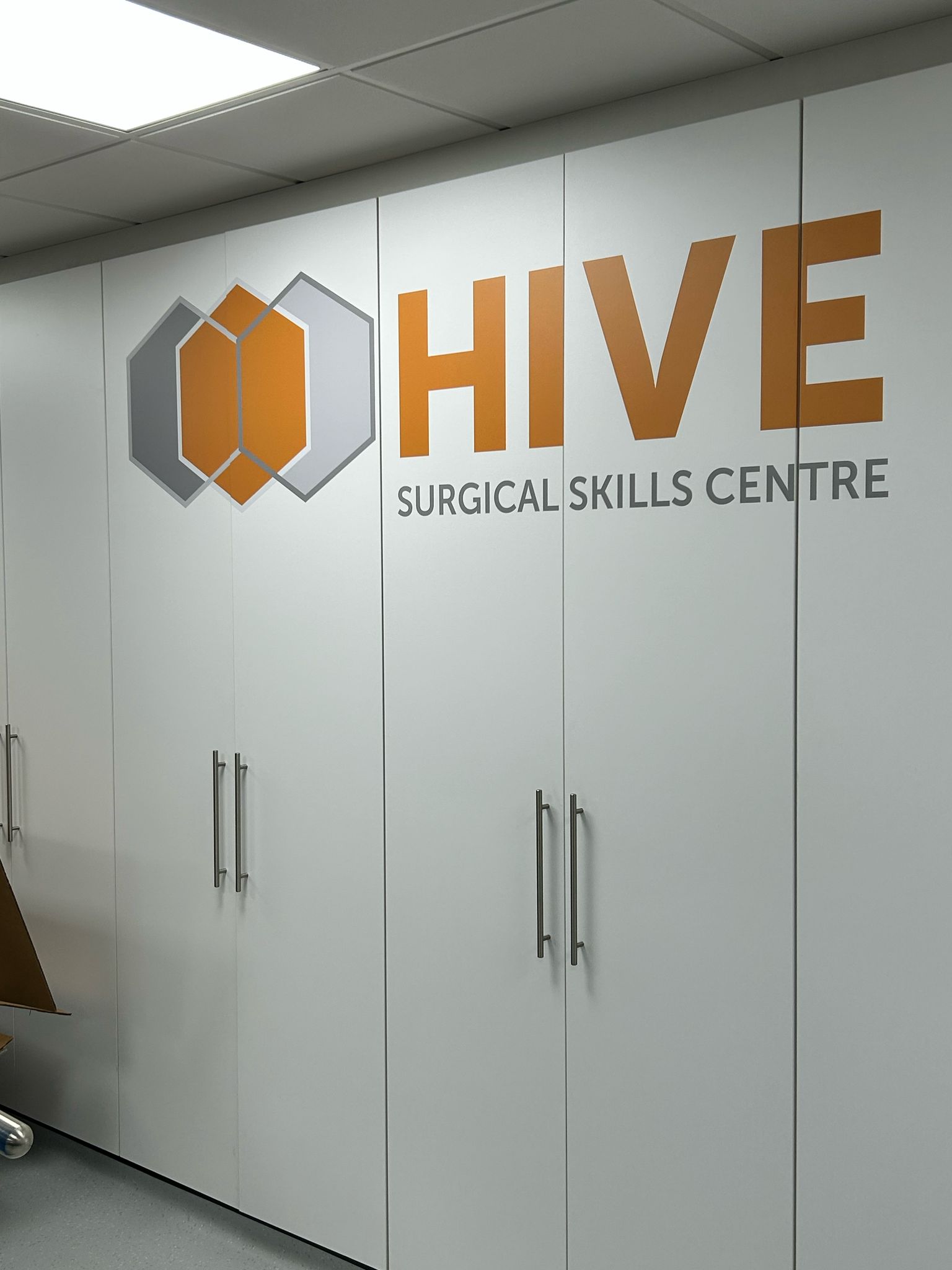 HIVE 